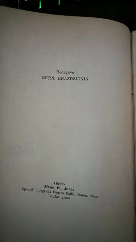 Pavasario balsai - Maironis, knyga 4