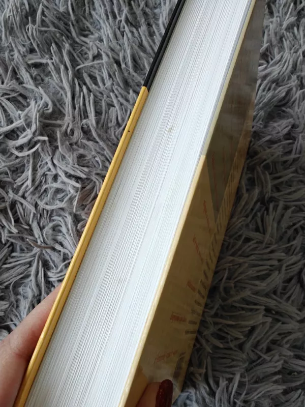 Idėjų žodynas - Autorių Kolektyvas, knyga 5