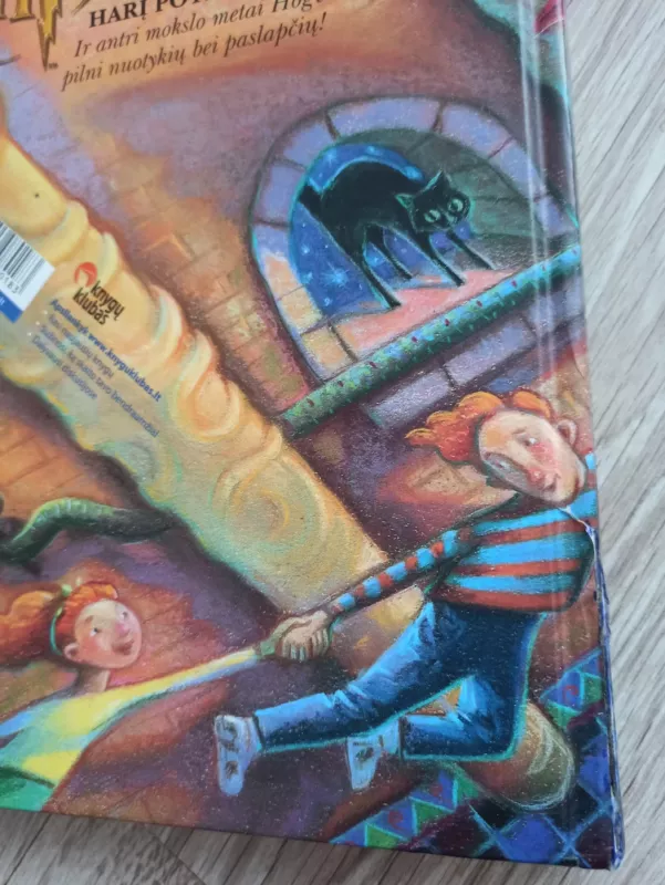 Haris Poteris ir Paslapčių kambarys - Rowling J. K., knyga 3