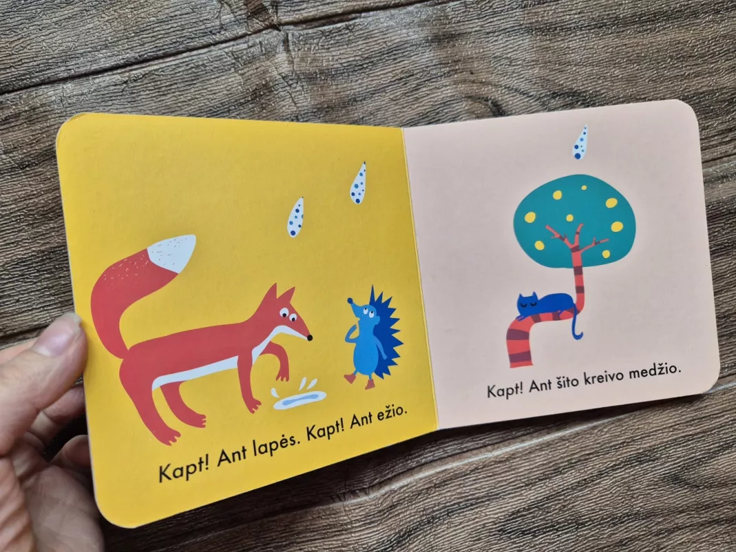 Kapt kapt kapt - Indrė Zalieckienė, knyga 3