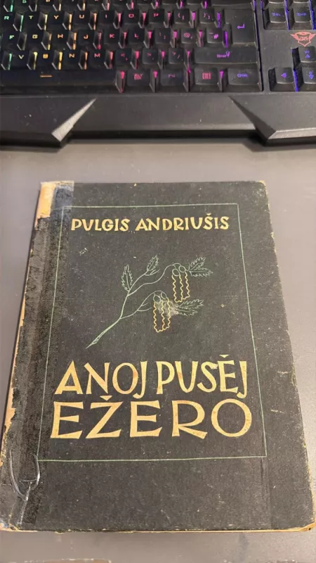 Anoj pusėj ežero - Pulgis Andriušis, knyga 2