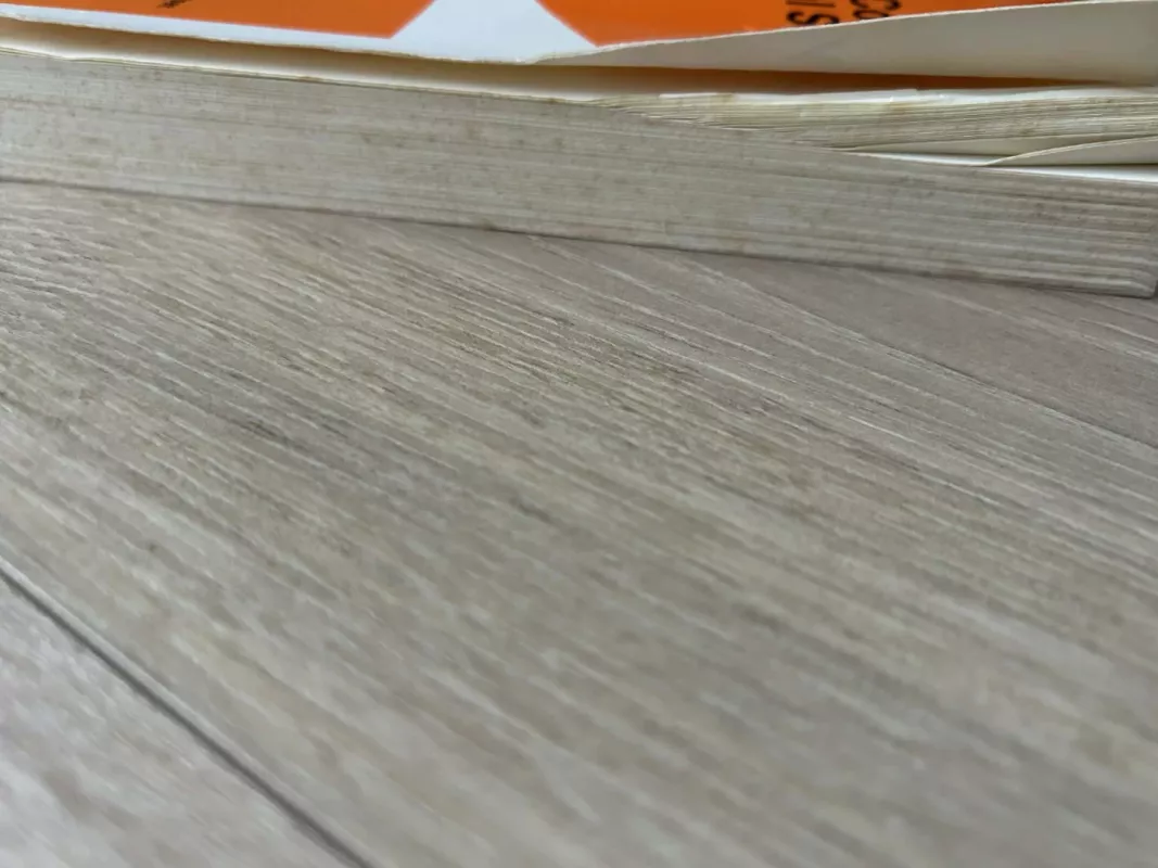 Class and Class Conflict in Industrial Society - Ralf Dahrendorf, knyga 3