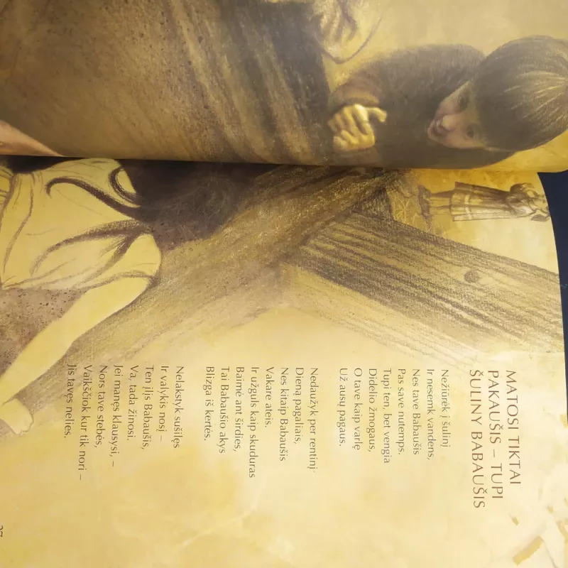 Kodėl miške švilpauti negalima - Linas Bitvinskas, knyga 3