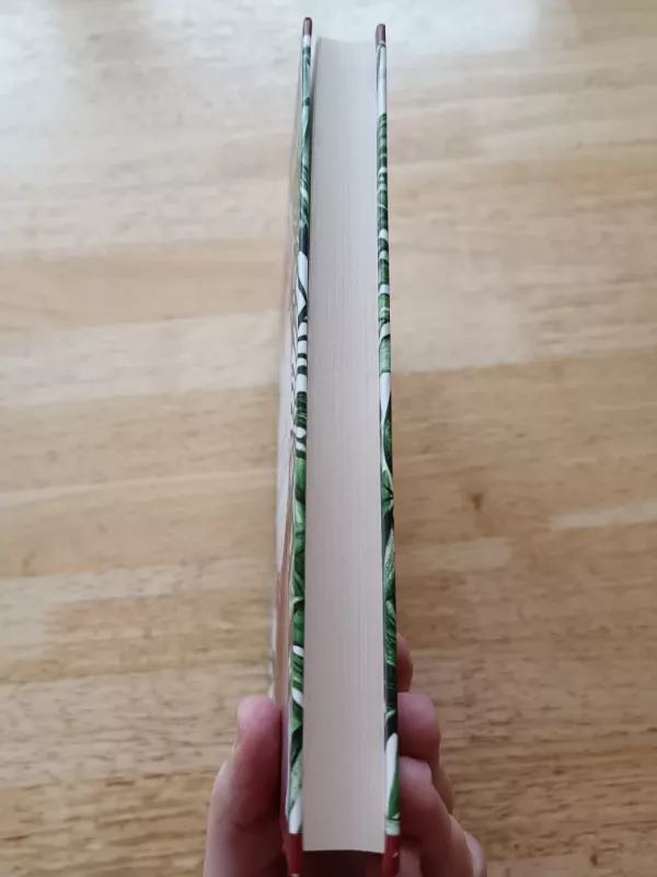 Tykusis amerikietis - Graham Greene, knyga 4