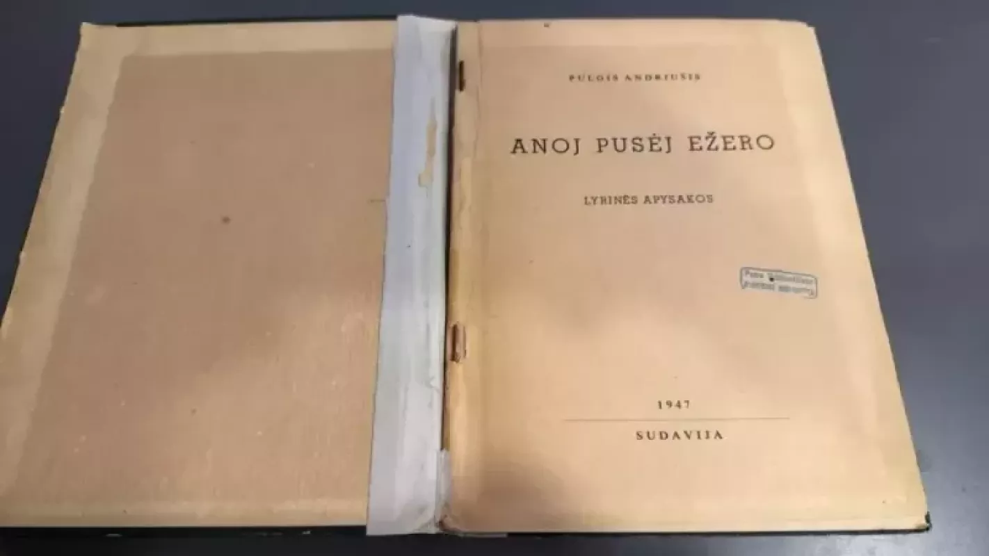 Anoj pusėj ežero - Pulgis Andriušis, knyga 4