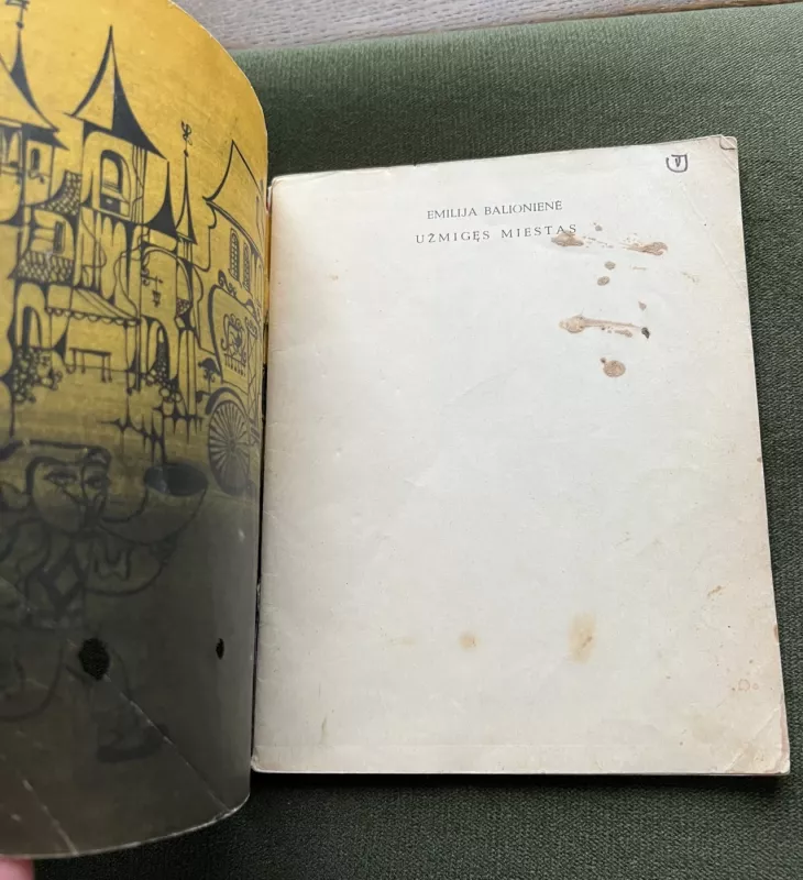 Užmigęs  miestas - Emilija Balionienė, knyga 3