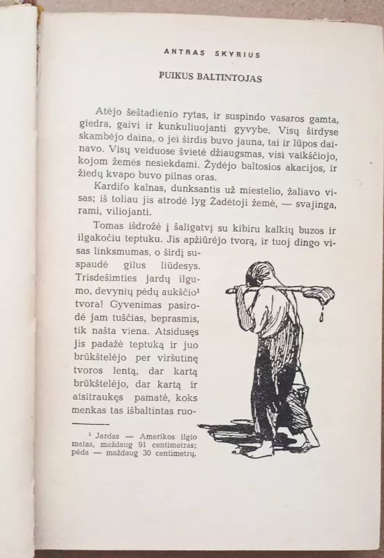 Tomo Sojerio nuotykiai - Markas Tvenas, knyga 6