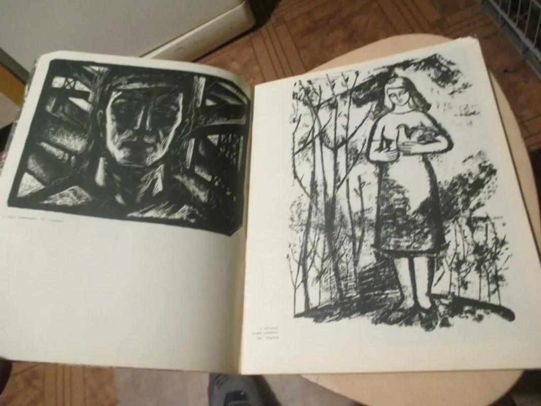 Dailė 1962 m. - Autorių kolekyvas, knyga 4