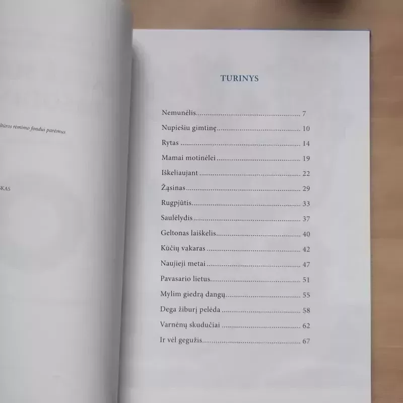 Saulė sodą pasodins - Martynas Vainilaitis, knyga 5