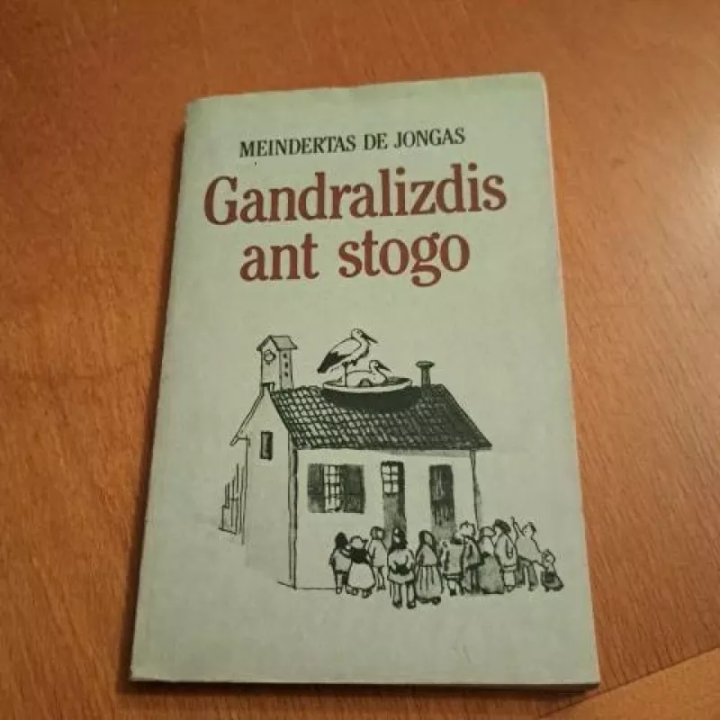 Gandralizdis ant stogo - Meindertas De Jongas, knyga 2