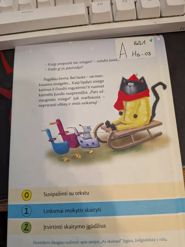 Katinėlis juodis. Krisk sniegeli - Rob Scotton, knyga 3