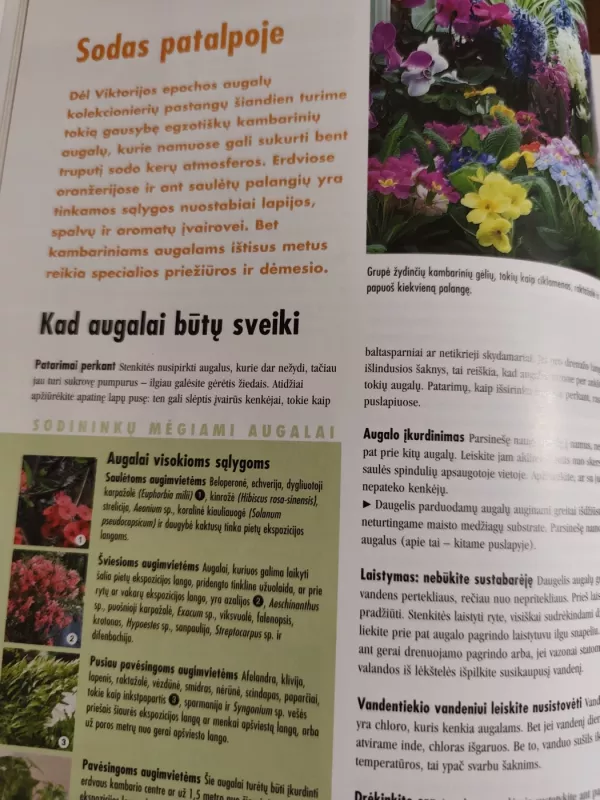 Senolių sodininkavimo paslaptys ir patarimai - Autorių Kolektyvas, knyga 4
