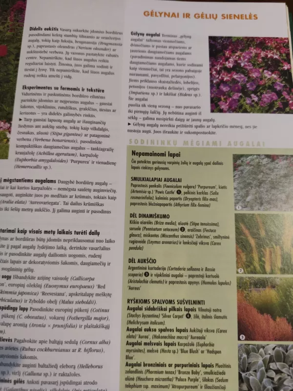 Senolių sodininkavimo paslaptys ir patarimai - Autorių Kolektyvas, knyga 5