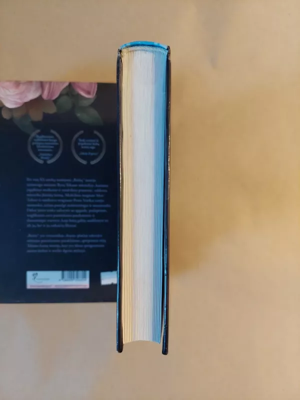 Nuo gero - prie puikaus. Kodėl vienos kompanijos padaro šuolį, o kitos - ne - James C. Collins, knyga 4