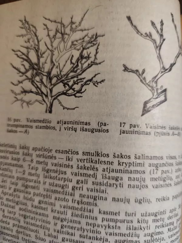 Sodininko ir daržininko mėgėjo žinynas - Petkevičienė L. ir kiti (sudarytojai), knyga 3