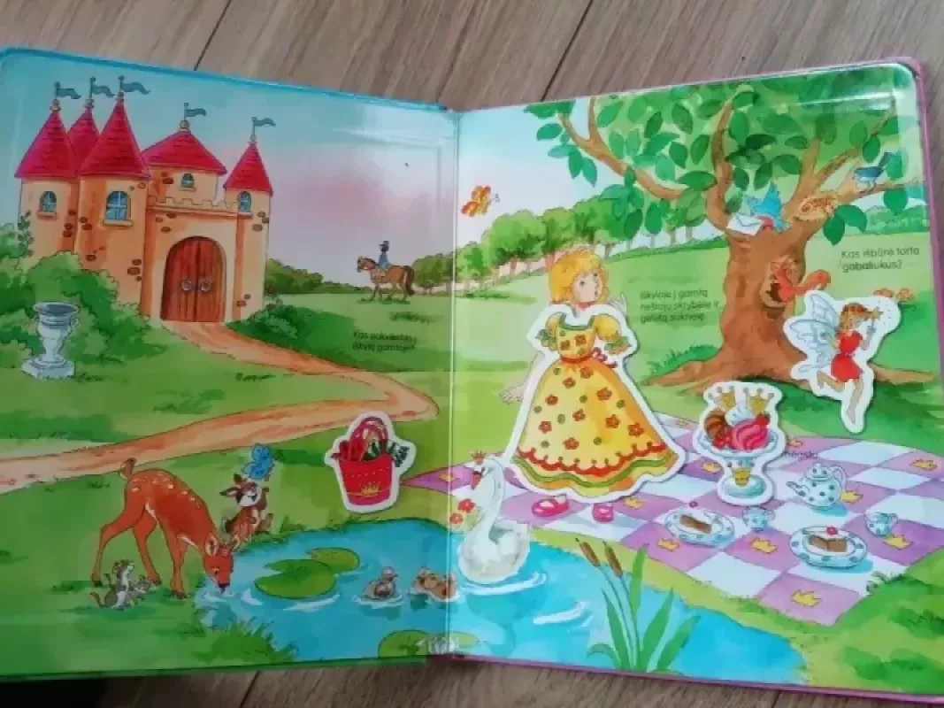 Princesė. Smagus žaidimas su magnetukais - Autorių Kolektyvas, knyga 3