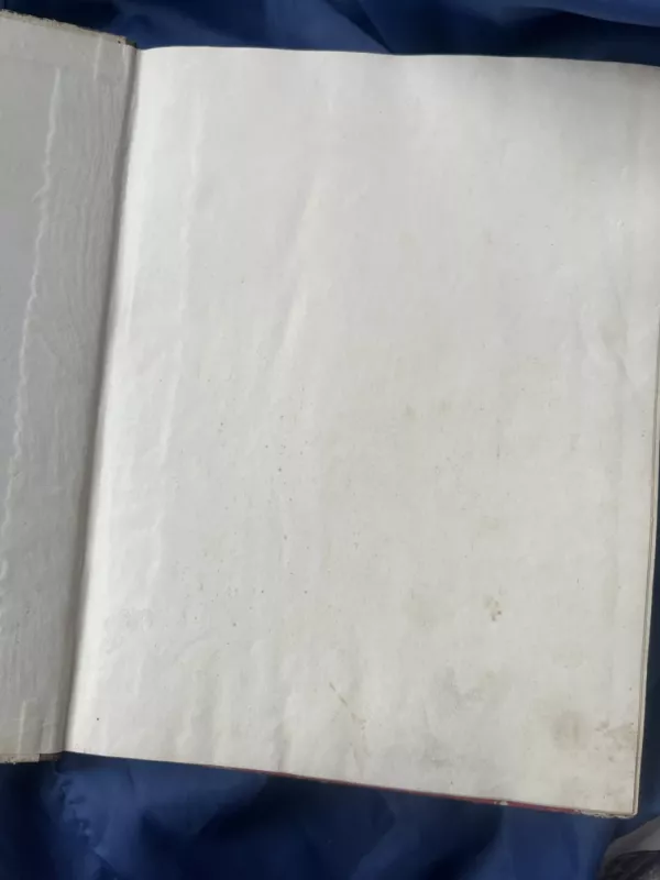 Danukas Dunduliukas - Vytautas Misevičius, knyga 6