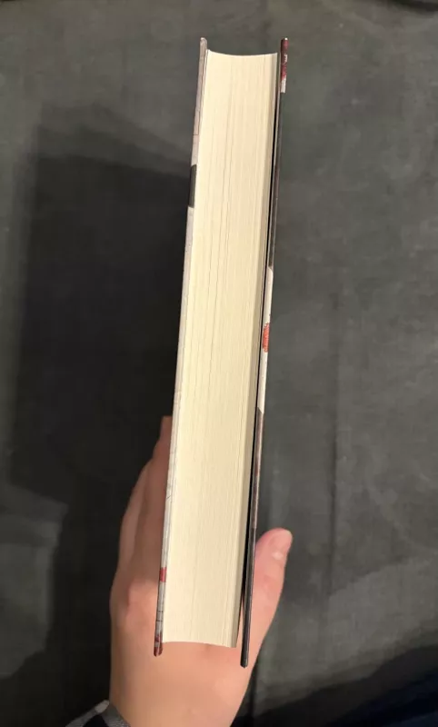 Tylioji įnamė - Clemence Michallon, knyga 5