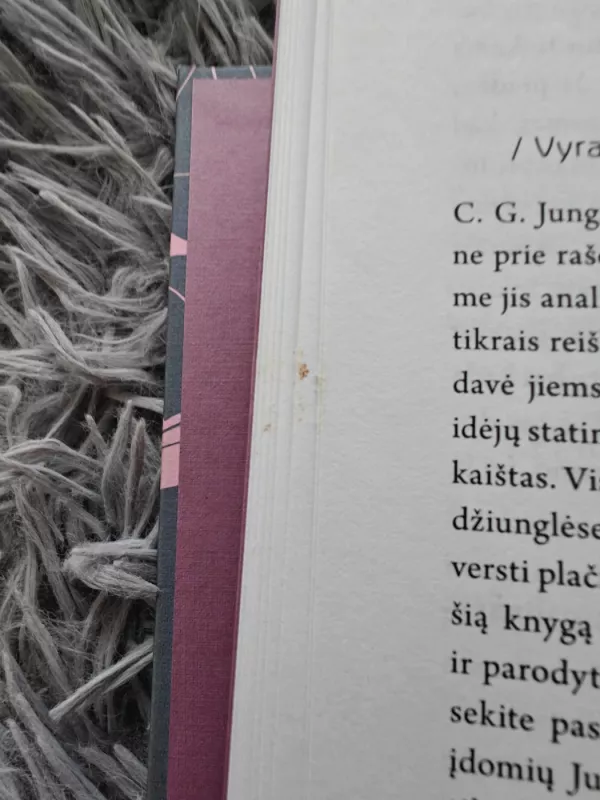 Stipri moteris ilgisi stipraus vyro - Maja Storch, knyga 4