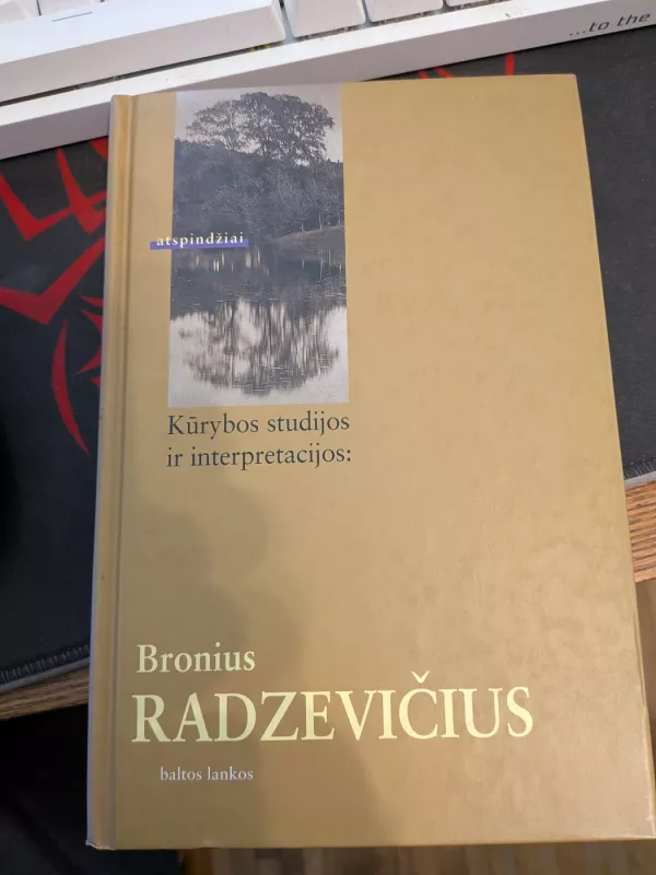 Bronius Radzevičius. Kūrybos studijos ir interpretacijos - Dainius Vaitiekūnas, knyga 3