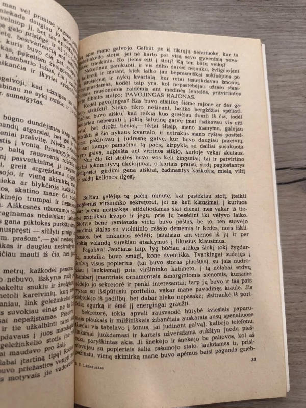 Užkeiktas miestas - Romualdas Lankauskas, knyga 4