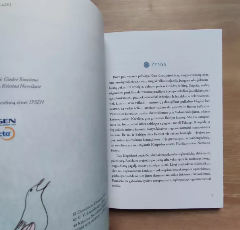 Berniukas ir žuvėdra - Vytautas V. Landsbergis, knyga 3