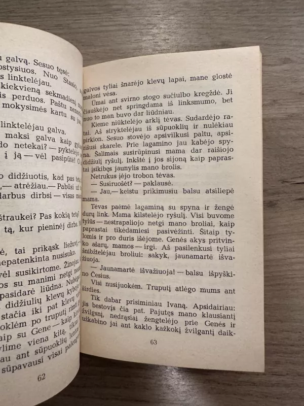 Kelionė pas mamą - Emilija Liegutė, knyga 4