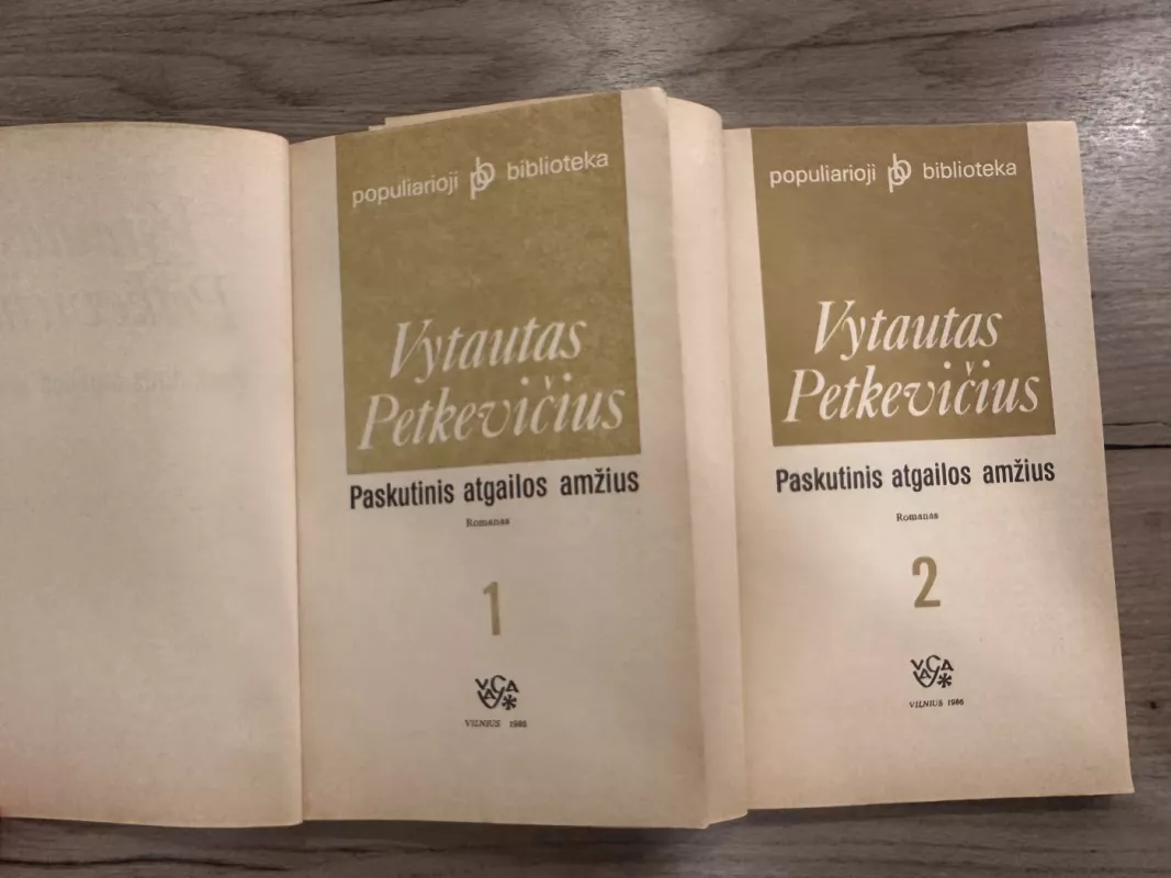 Paskutinis atgailos amžius (2 knygos) - Vytautas Petkevičius, knyga 3