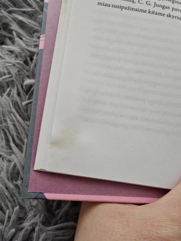 Stipri moteris ilgisi stipraus vyro - Maja Storch, knyga 3