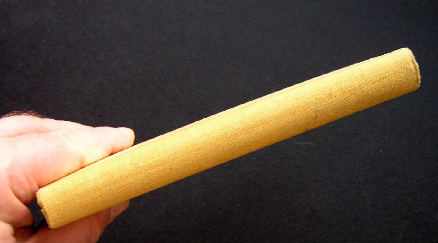 C.Iuli Caesaris Belli Gallici - M. Račkauskas, knyga 5