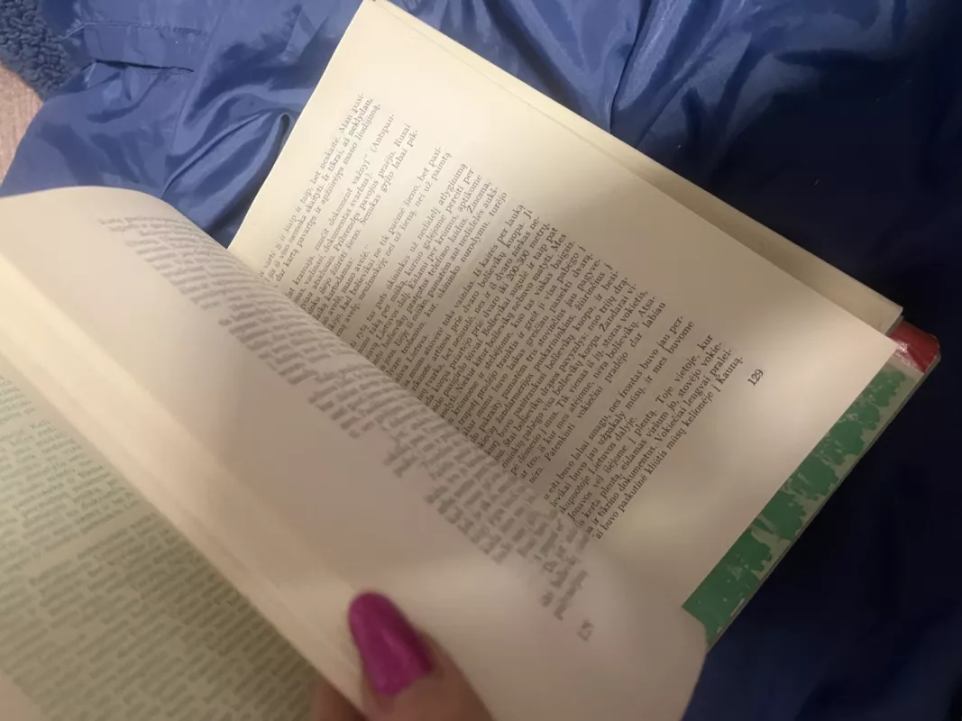 Kovose dėl Lietuvos (2 tomai) - Stasys Raštikis, knyga 4