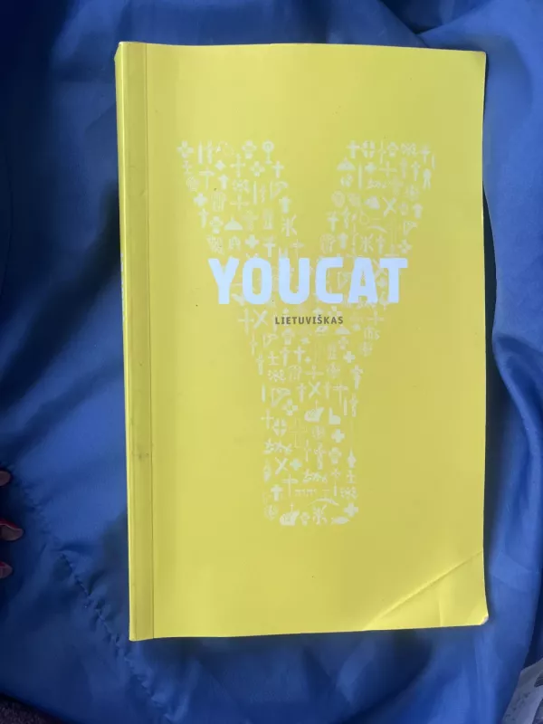 Youcat. Jaunimo katekizmas - Autorių Kolektyvas, knyga 2