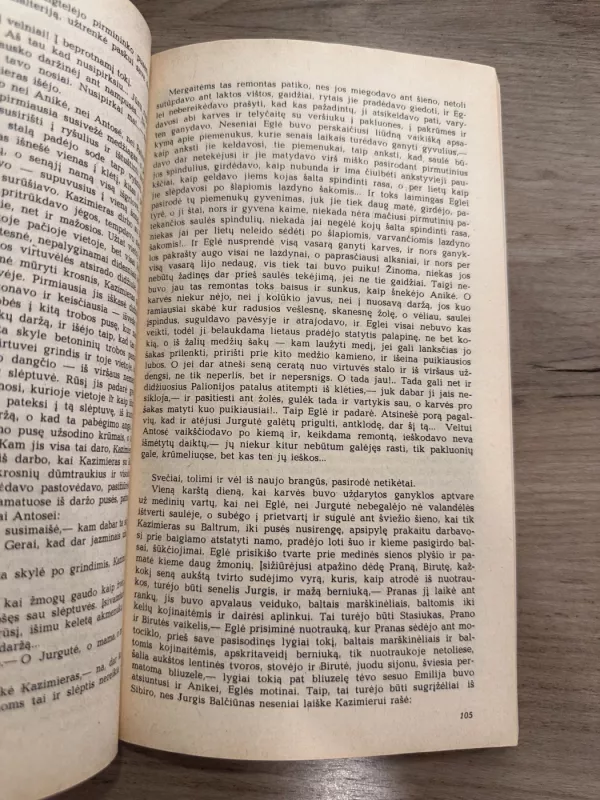 Po mūsų nebebus mūsų - Vidmantė Jasukaitytė, knyga 4