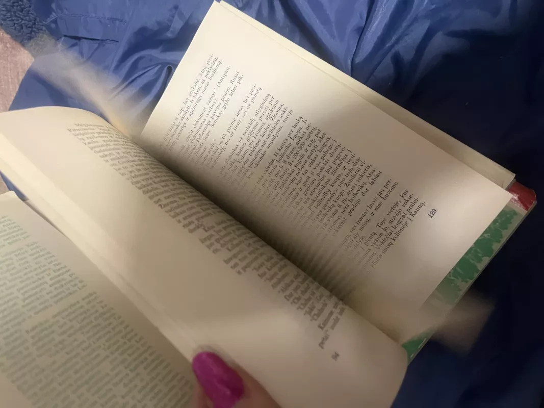 Kovose dėl Lietuvos (2 tomai) - Stasys Raštikis, knyga 3