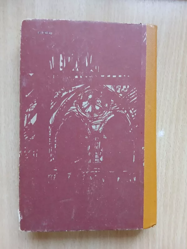 Paryžiaus katedra - Viktoras Hugo, knyga 4