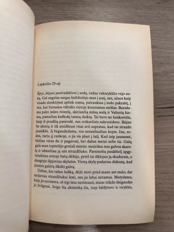 Eik kur liepia širdis - Susanna Tamaro, knyga 4