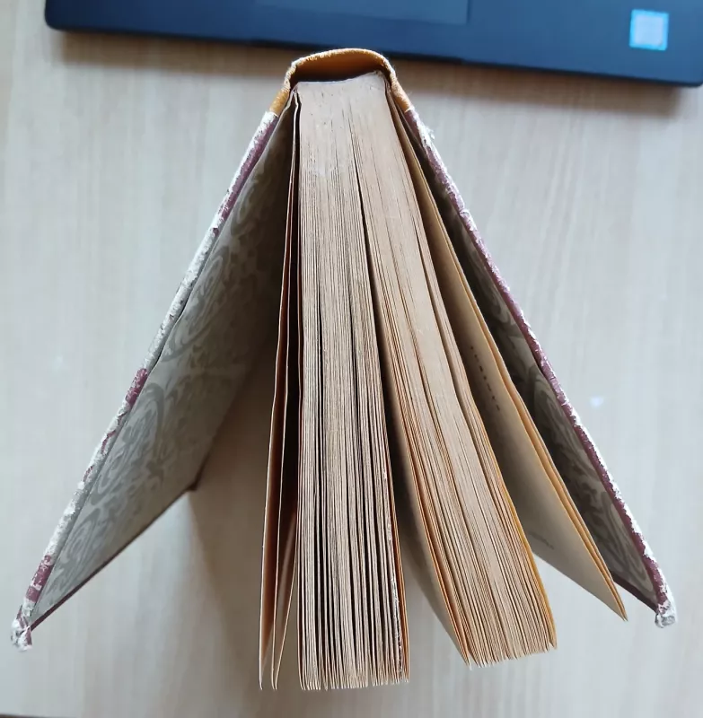 Paryžiaus katedra - Viktoras Hugo, knyga 3