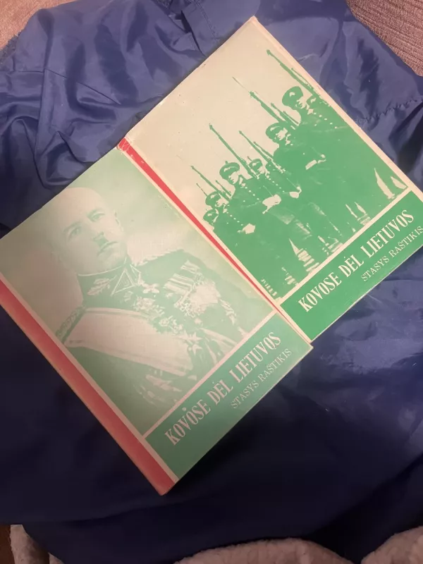 Kovose dėl Lietuvos (2 tomai) - Stasys Raštikis, knyga 2