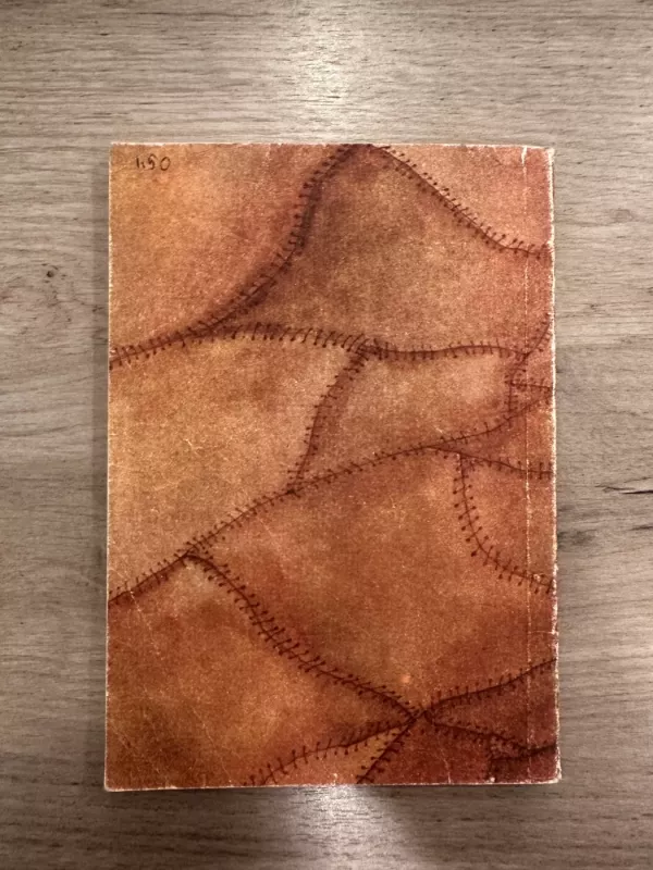 Žmogus Nr. 13 - Edgaras Barouzas, knyga 5