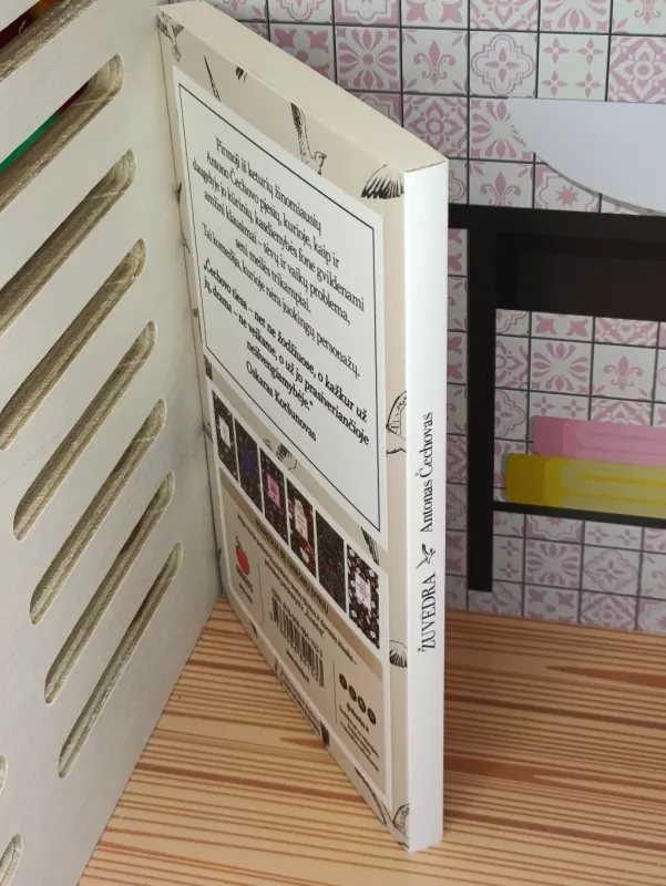 Žuvėdra - Antonas Čechovas, knyga 4