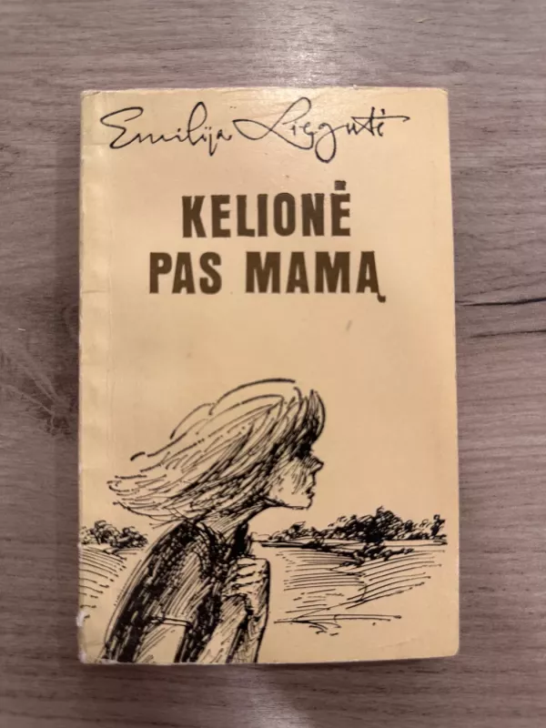 Kelionė pas mamą - Emilija Liegutė, knyga 2