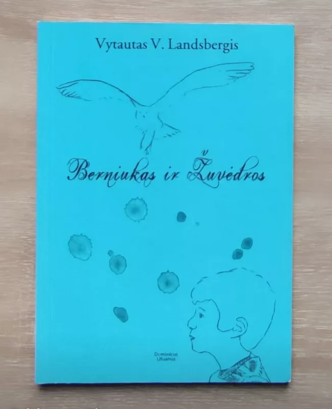 Berniukas ir žuvėdra - Vytautas V. Landsbergis, knyga 2