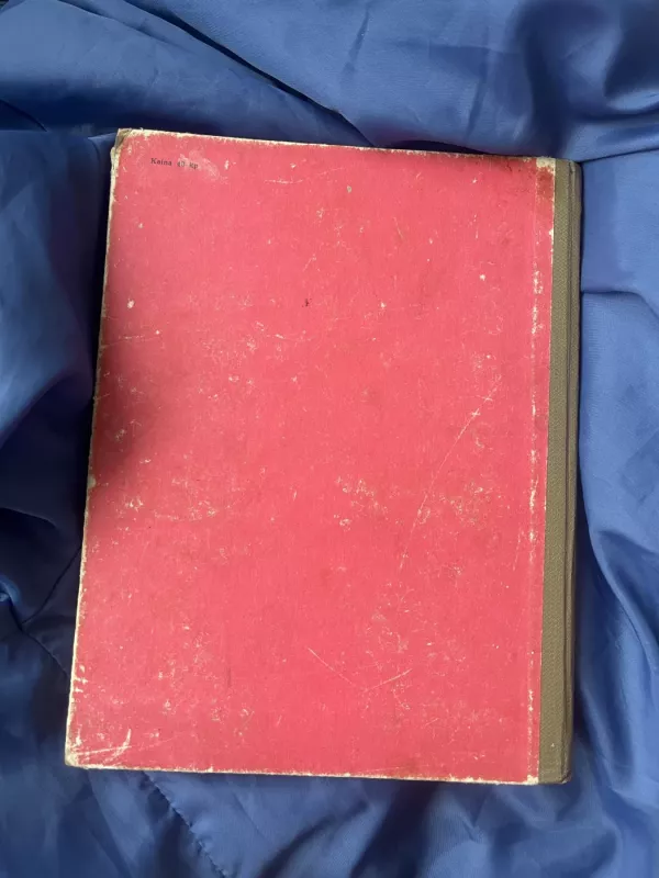 Danukas Dunduliukas - Vytautas Misevičius, knyga 4