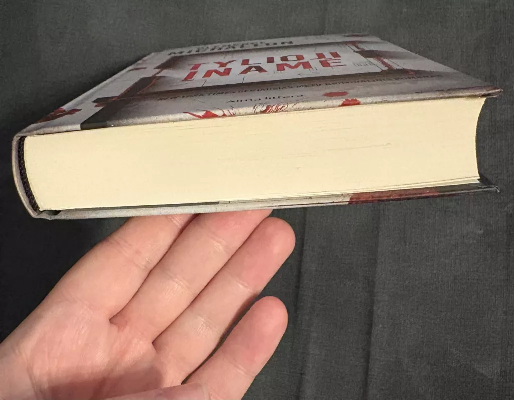 Tylioji įnamė - Clemence Michallon, knyga 4