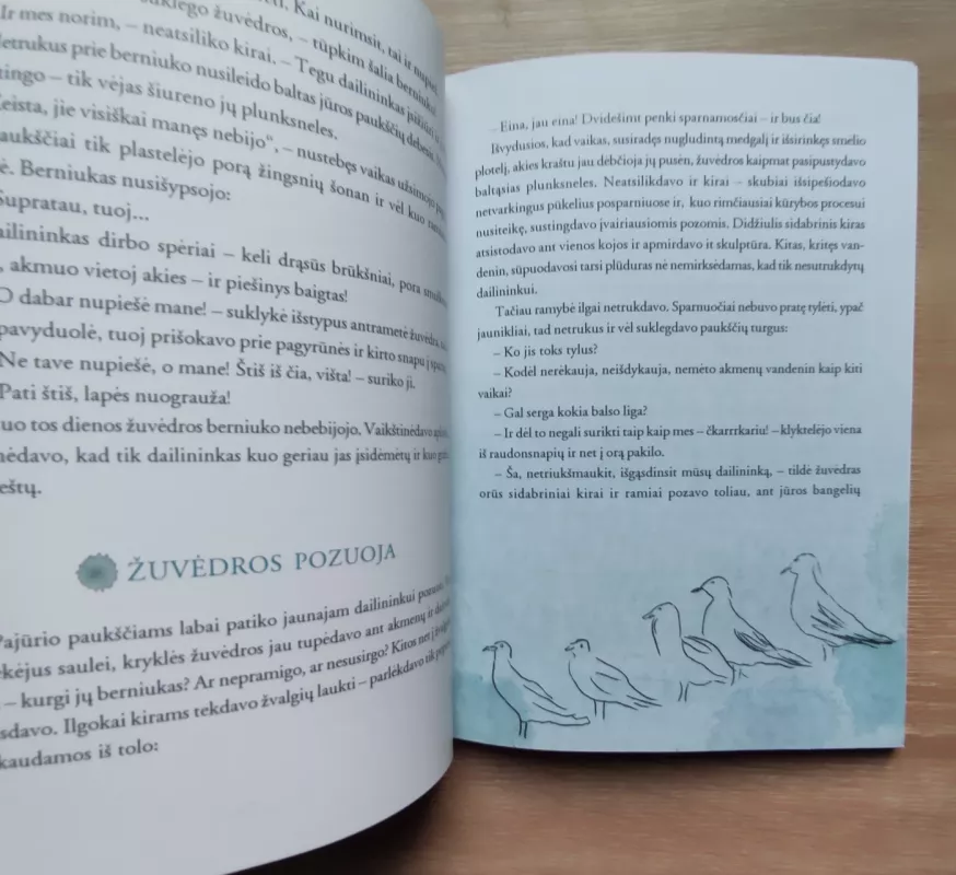 Berniukas ir žuvėdra - Vytautas V. Landsbergis, knyga 4