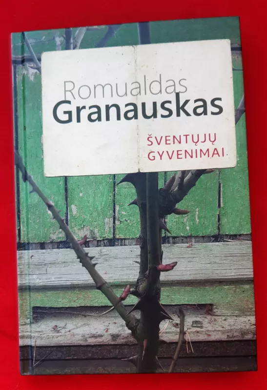 Šventųjų gyvenimai - Romualdas Granauskas, knyga 2