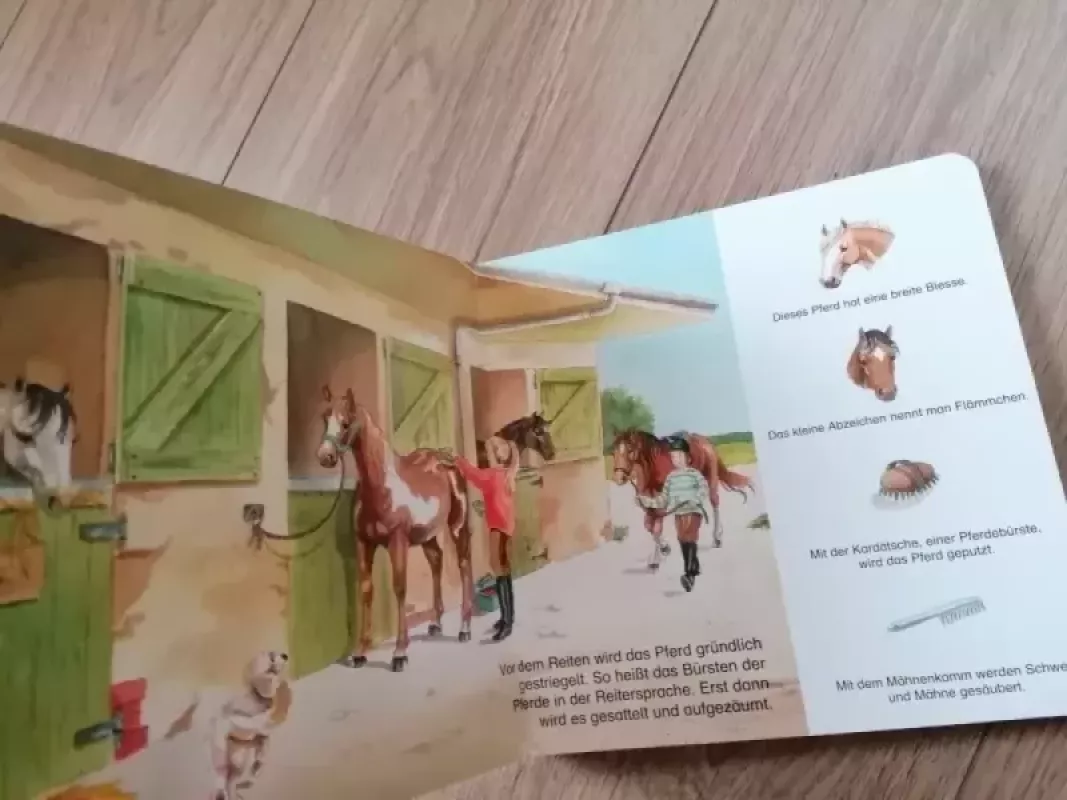 Auf dem Reiterhof - Pohl, knyga 4