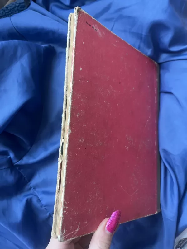 Danukas Dunduliukas - Vytautas Misevičius, knyga 5