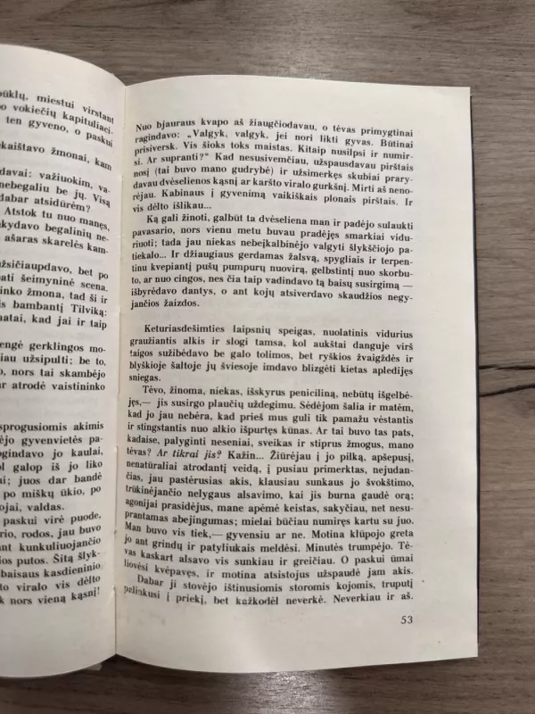 Nė vienas nebuvo pagailėtas - Romualdas Lankauskas, knyga 4