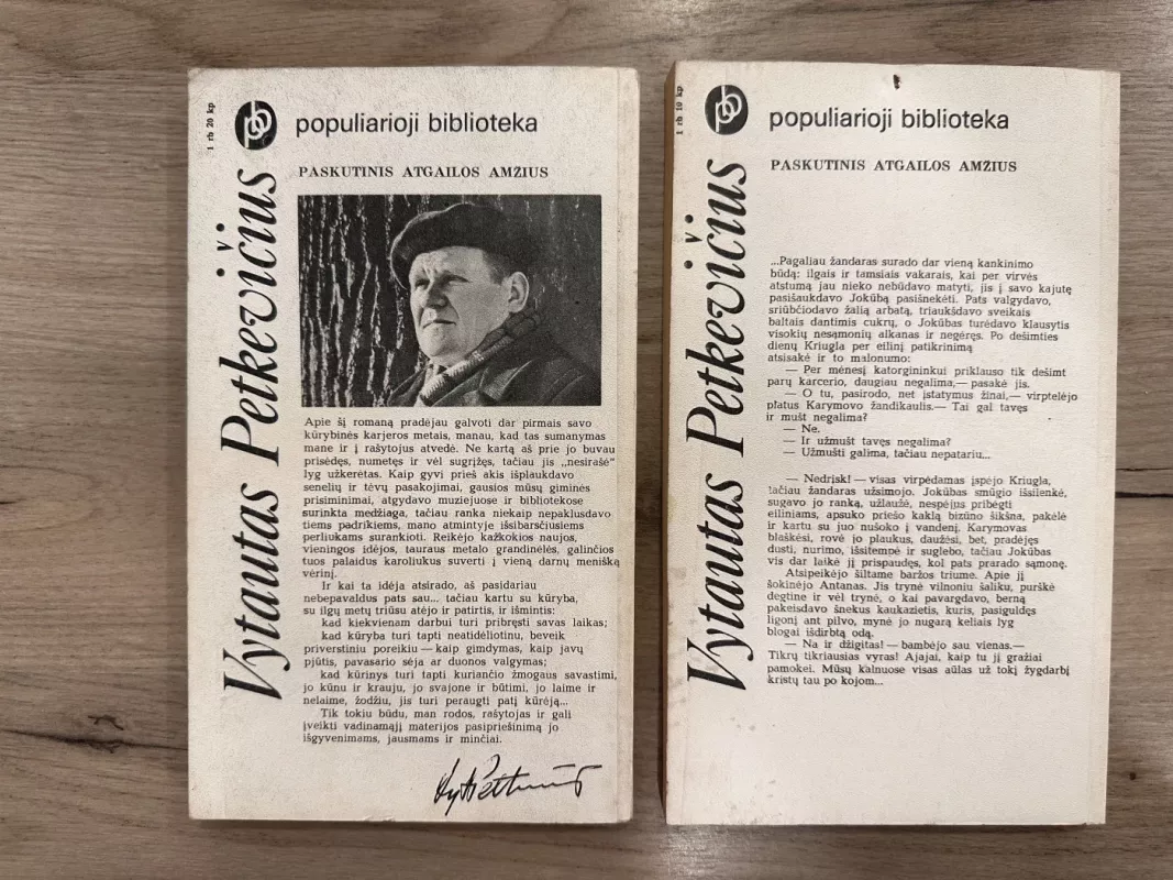 Paskutinis atgailos amžius (2 knygos) - Vytautas Petkevičius, knyga 6